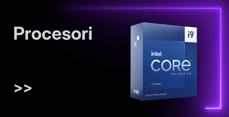 Procesori