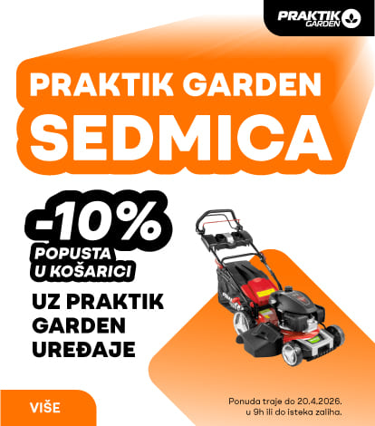 PRAKTIK SEDMICA BRENDA