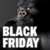 Black Friday 2022